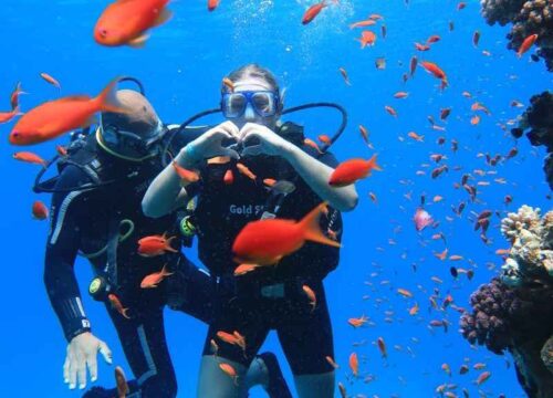 Дайвинг в Белеке