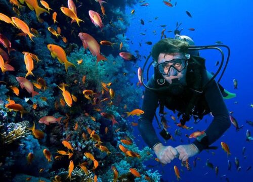 Дайвинг в Аланье