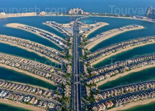 Билеты в The View at the Palm