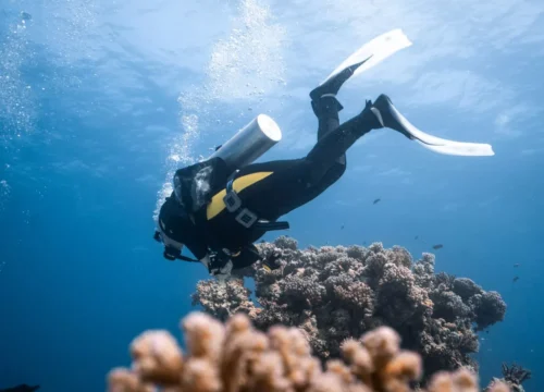 Почему важно правильно выбрать морской тур