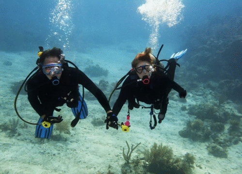 Дайвинг для начинающих в Египте: полное руководство перед первым погружением