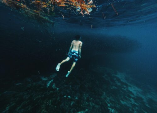 Дайвинг и снорклинг в Хургаде — полное руководство по подводному миру Красного моря