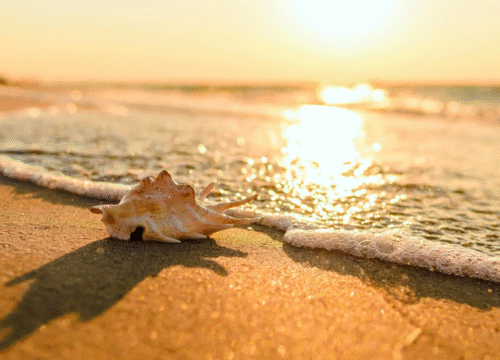 Фотосессия на лодке — как сделать идеальные морские кадры