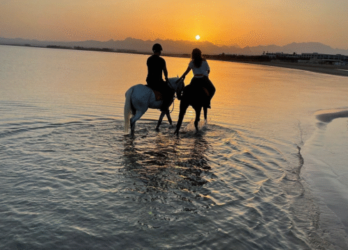 Романтические морские прогулки и закаты для пар в Египте