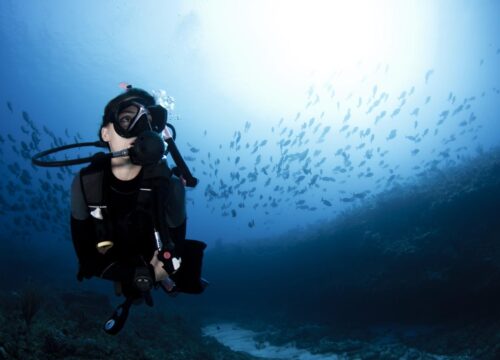 Сочетание приключений и отдыха в Египте: дайвинг, сафари и спокойные оазисы