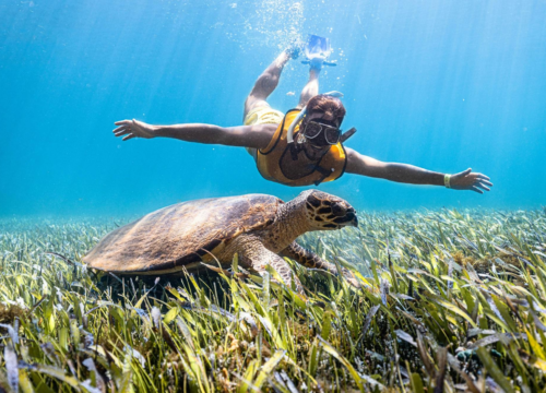 Морские сафари для любителей экстрима: снорклинг, дайвинг и быстрые лодки