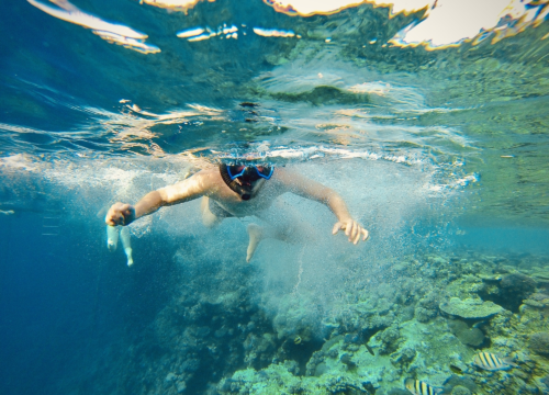 Море глазами: туры для тех, кто не любит купаться