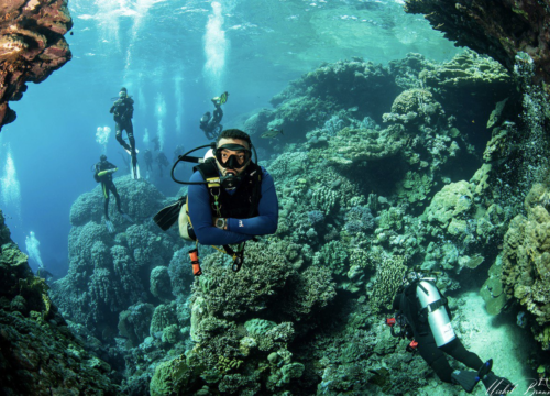 Редкие природные места возле Красного моря: большой гид по скрытым уголкам, куда добираются лишь избранные