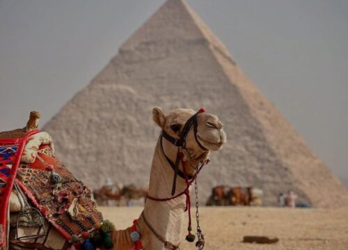 Короткие экскурсии в Египте: максимум впечатлений без долгих переездов