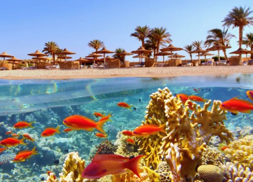 Отдых на Красном море в Египте – подробный туристический блог