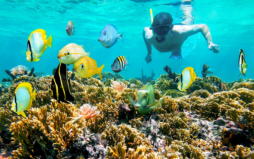 https://cdn-imgix.headout.com/media/images/001acfa92fc3829938fff6f66dda4c22-20424-hurghada-orange-bay-snorkeling-experience-in-hurghada-with-transfers---lunch-03.jpg?auto=compress%2Cformat&crop=faces&fit=min&h=651&w=1041.6000000000001