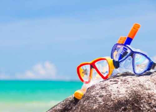 Снорклинг в Хургаде: коралловые рифы Красного моря